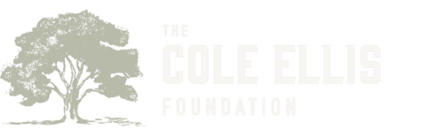 Site Footer Logo