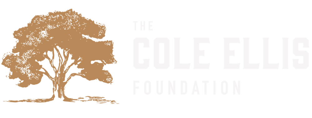 Alternate Logo