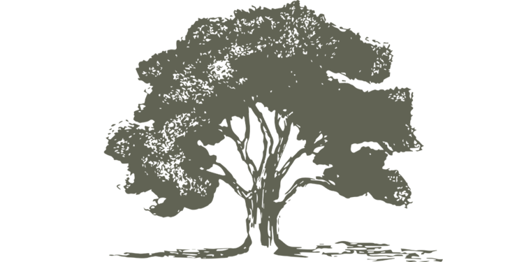 Oak Green Logo